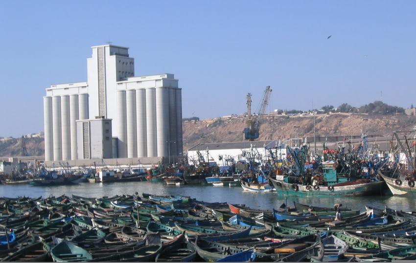  ميناء آسفي .. انخفاض الكميات المفرغة من منتوجات الصيد البحري عند متم يوليوز الماضي (مكتب)