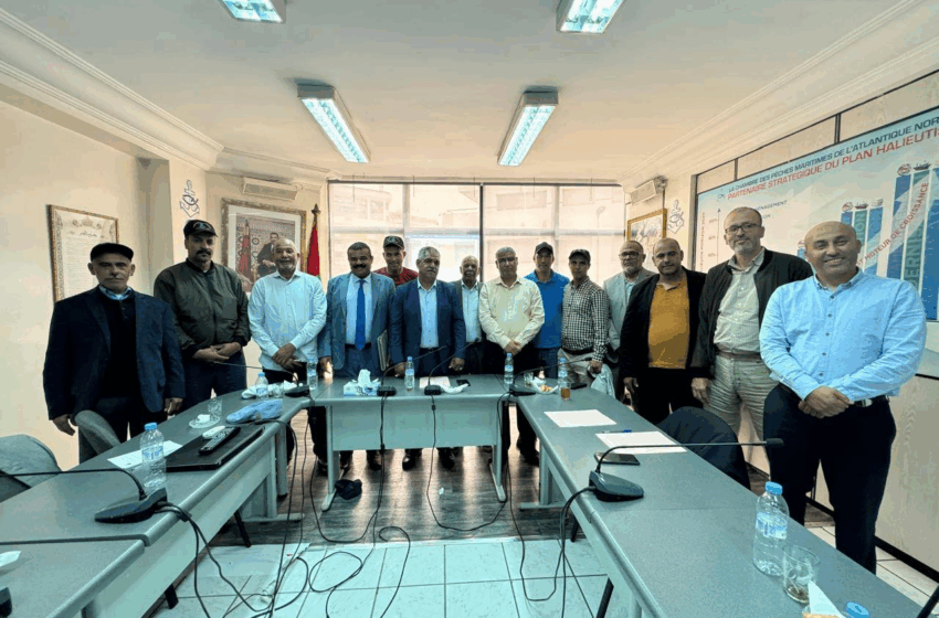  اللجنة الموضوعاتية للصيد التقليدي تحدد ملامح مستقبل الاسطول المغربي