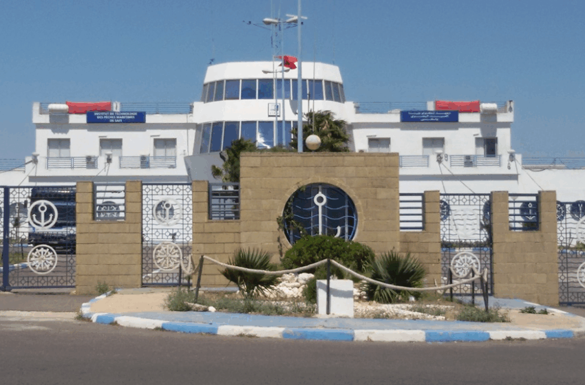 معهد تكنولوجيا الصيد باسفي تستعد لإستقبال متدربين جدد برسم الموسم القادم