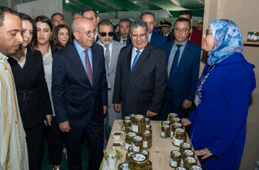 الدورة السابعة للمعرض الوطني للكبار تفتتح أبوابها باسفي