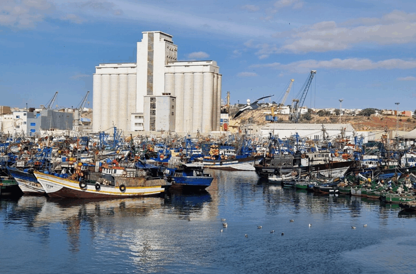  ارتفاع ملحوظ بمفرغات الصيد الساحلي والتقليدي على مستوى ميناء آسفي خلال الأشهر السبعة الأولى من سنة 2025