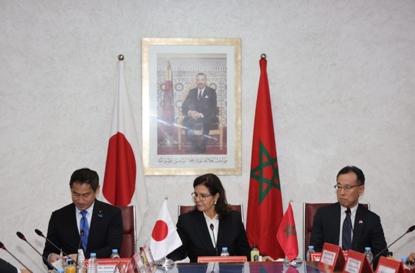  هبة تكميلية من الحكومة اليابانية، لإنجاز مشروع “تهيئة ميناء صيد من الجيل الجديد بالصويرية القديمة