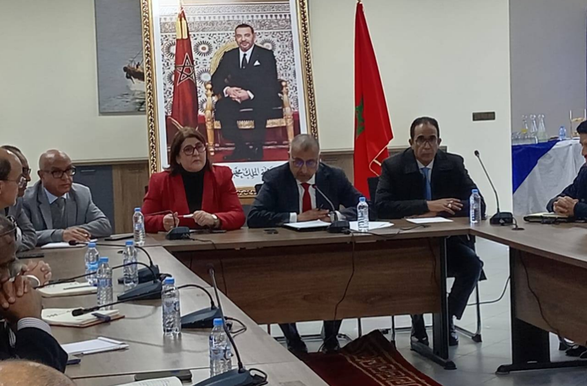  لقاء تواصلي جهوي باسفي مع مناديب الصيد البحري لتنزيل مضامين خارطة الطريق 2025–2027