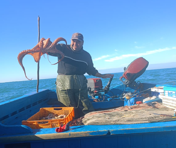  انطلاق موسم صيد الأخطبوط الشتوي لسنة 2026 بتفاؤل وارتياح لدا المهنيين وانخراطهم الفعال لإنجاح الموسم