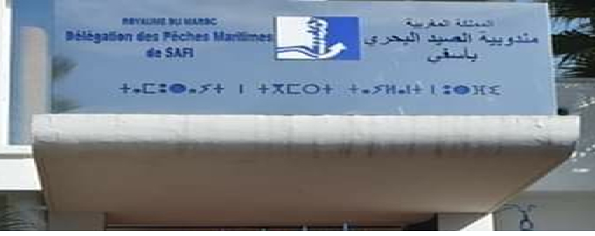  مندوبية الصيد البحري باسفي تعتمد حزمة من التدابير لإنجاح موسم الأخطبوط