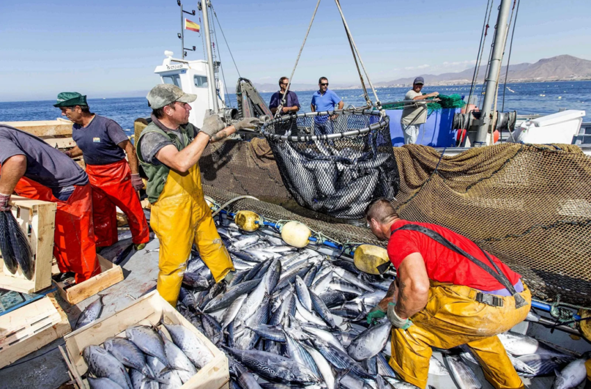  التجمع المهني البحري بميناء آسفي يطالب الحكومة بإجراءات عاجلة لمواجهة ارتفاع أسعار المحروقات