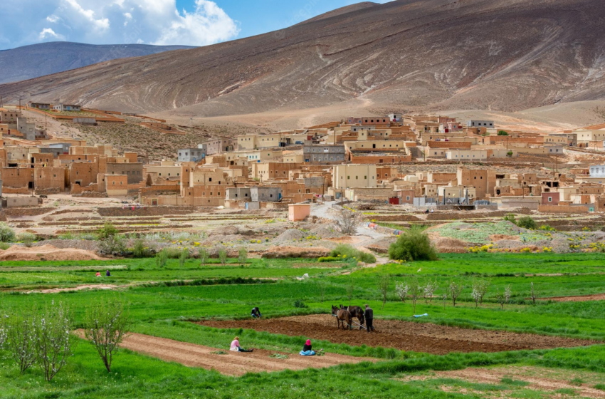  ساكنة الوسط القروي بعبدة تضع مطالبها أمام المرشحين.. فلاحة متعثرة، غلاء المعيشة وانتظارات متزايدة